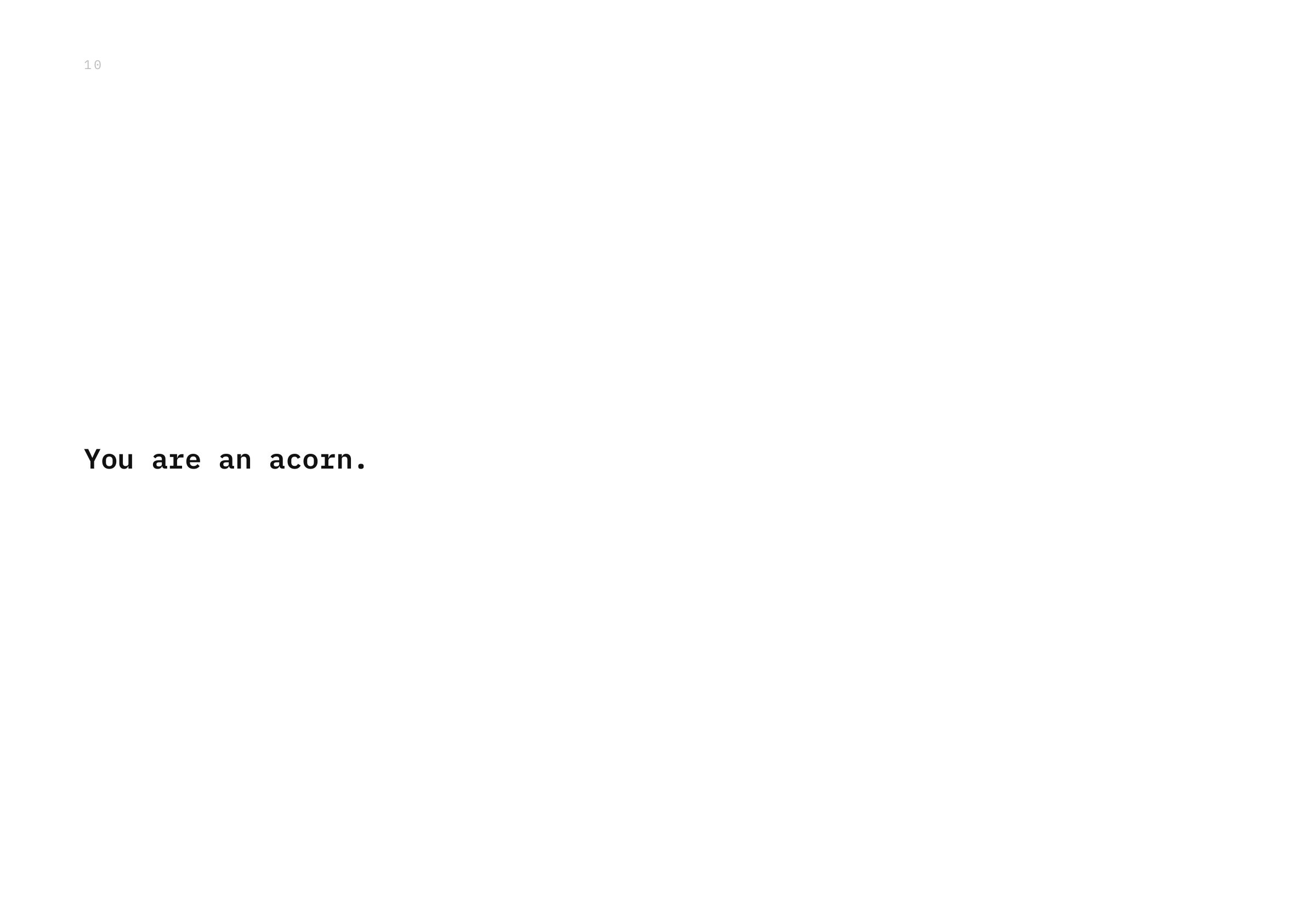 You are an acorn.
